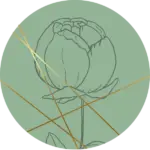 FC_Floral6